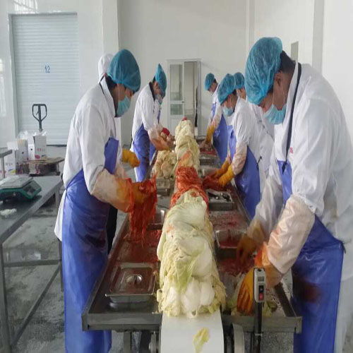 性價比之選 高效玉米食品加工機(jī)械設(shè)備在糧食加工領(lǐng)域的應(yīng)用